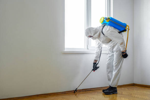 Best Fumigation Services  in Fairfield Bay, AR